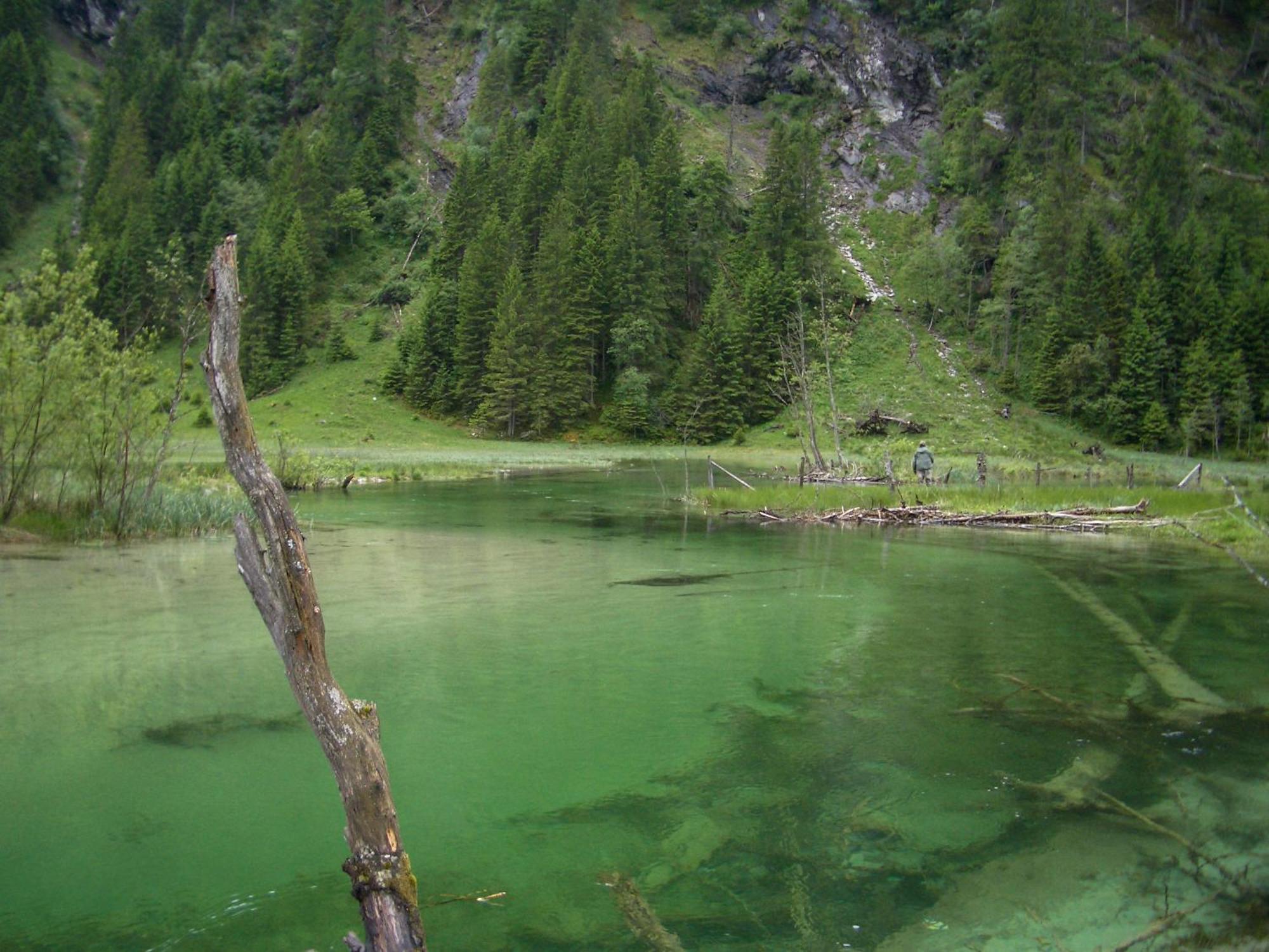 Landhotel Almroesl Im Grossarltal Hüttschlag Esterno foto